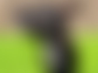 Velcro: Sticking to Love After Trauma