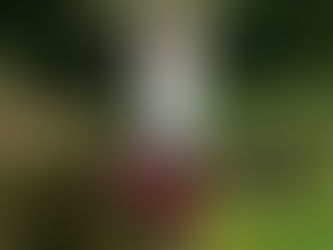 Czym jest budowanie równowagi w pozycjach