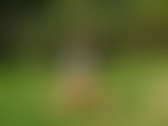 Jesień w praktyce ciała