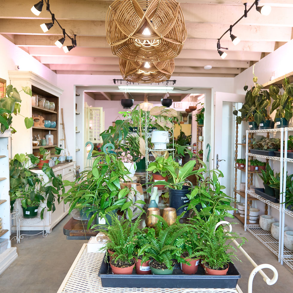 Small Business Saturday Sale