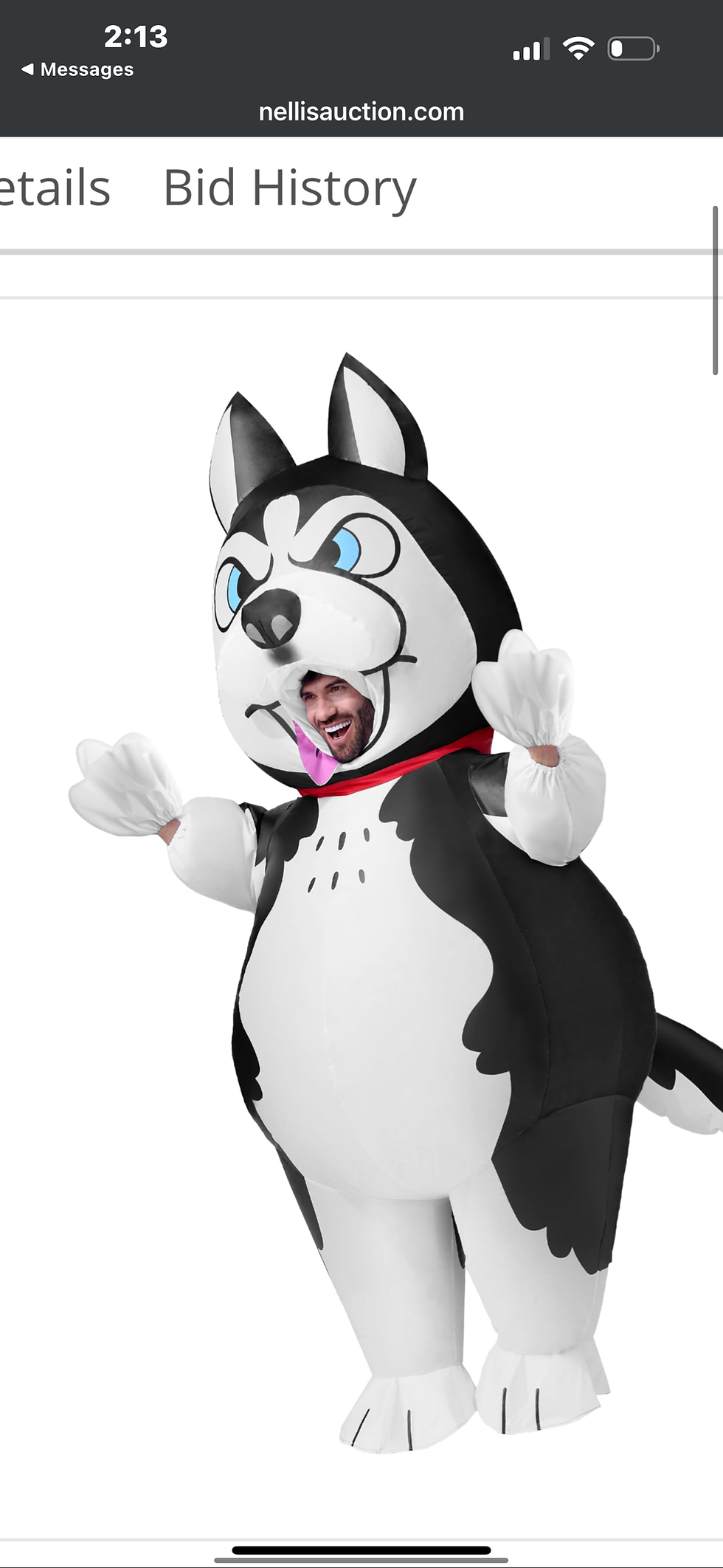 Inflatable husky dog