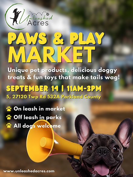 Paws & Play Market (2).png