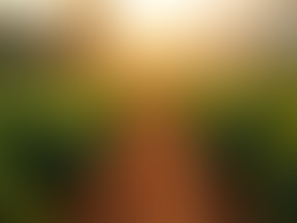 Discover Pacaybal: Award-Winning Coffee Farm's New Frontier