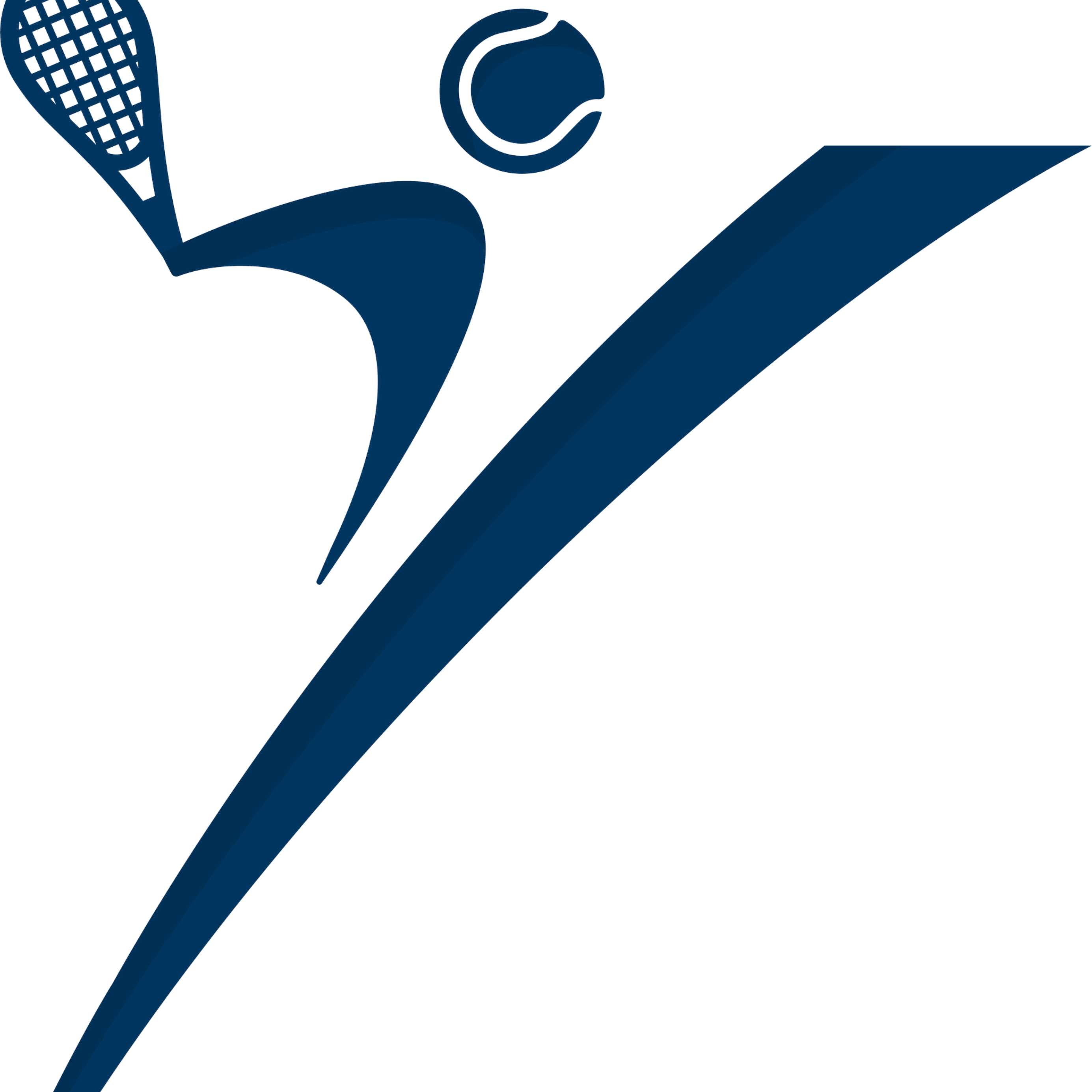 Play Academy logo