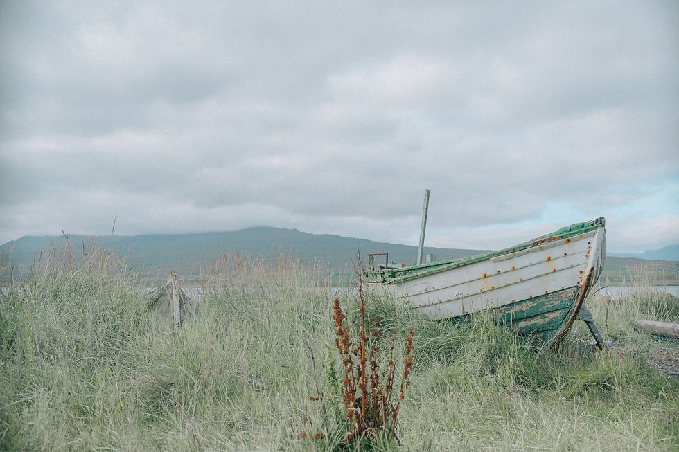 Abandoned boat surrounded by green vegetation in the Icelandic landscape, photographed as part of a reflection on green.