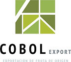 Logo COBOL.jpg