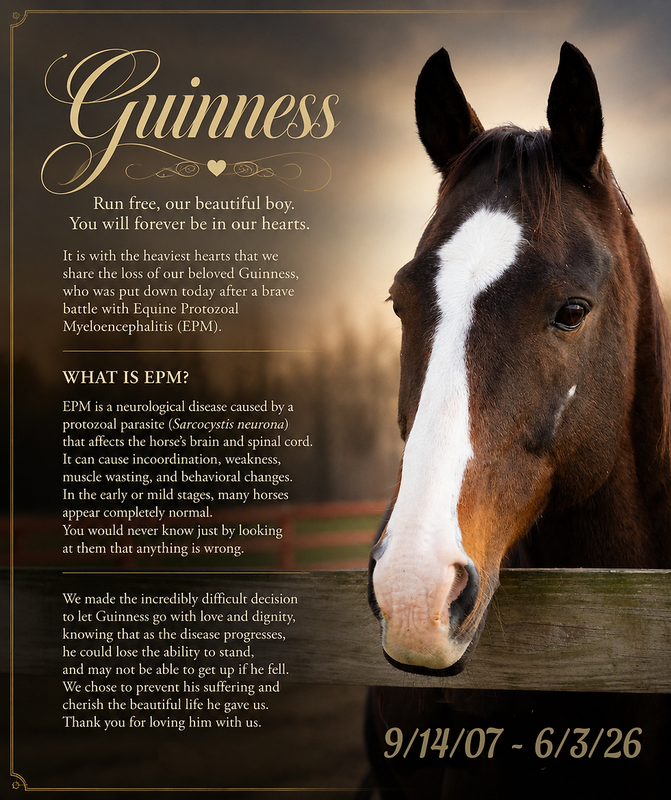Goodbye, Our Sweet Guinness