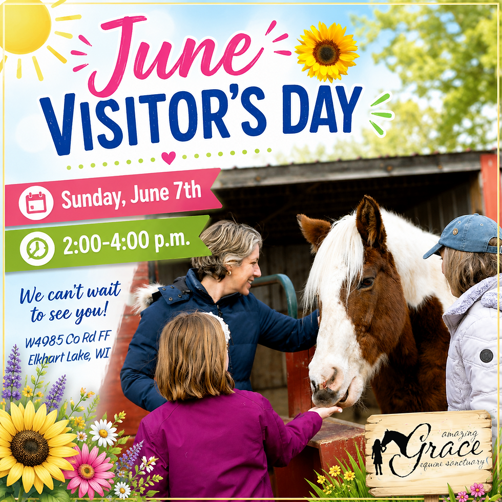 June Visitor's Day!