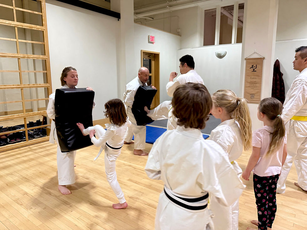 Thumbnail: Family Beginner Karate