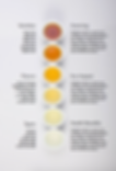 Nova Duar Tea Infographic