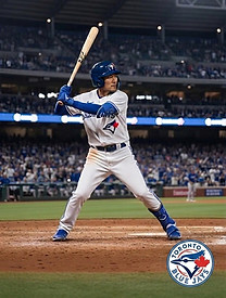blue jays pic.jpg