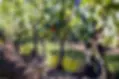 Fresh air, open spaces, low-key experiences, world-class wines.