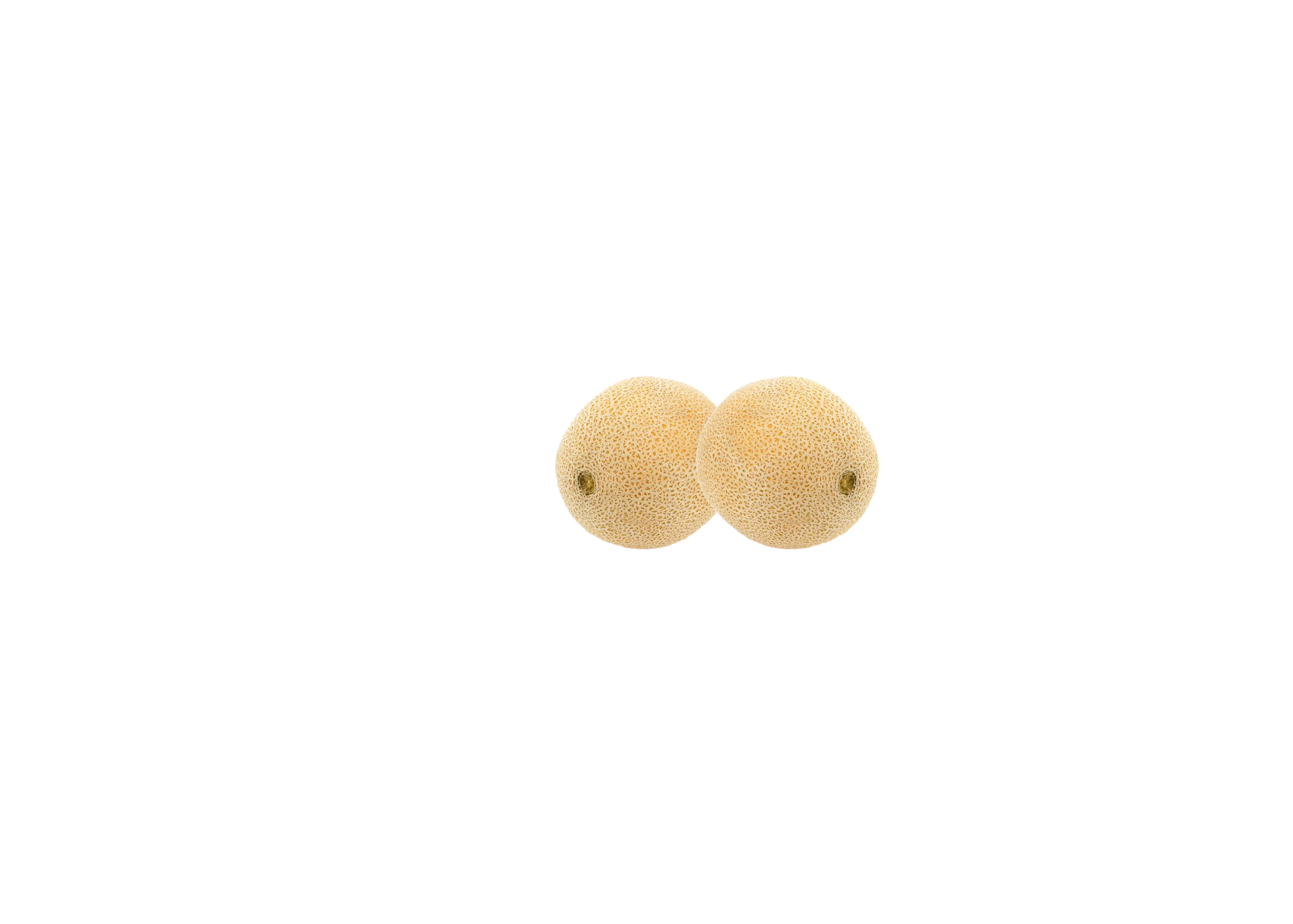melon-gif-real.gif