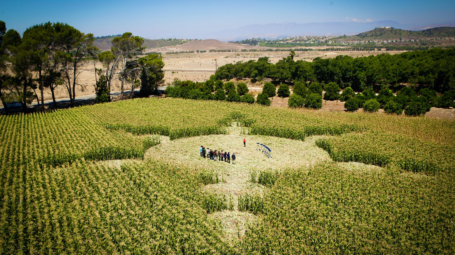 06 FO CROP CIRCLE.jpg