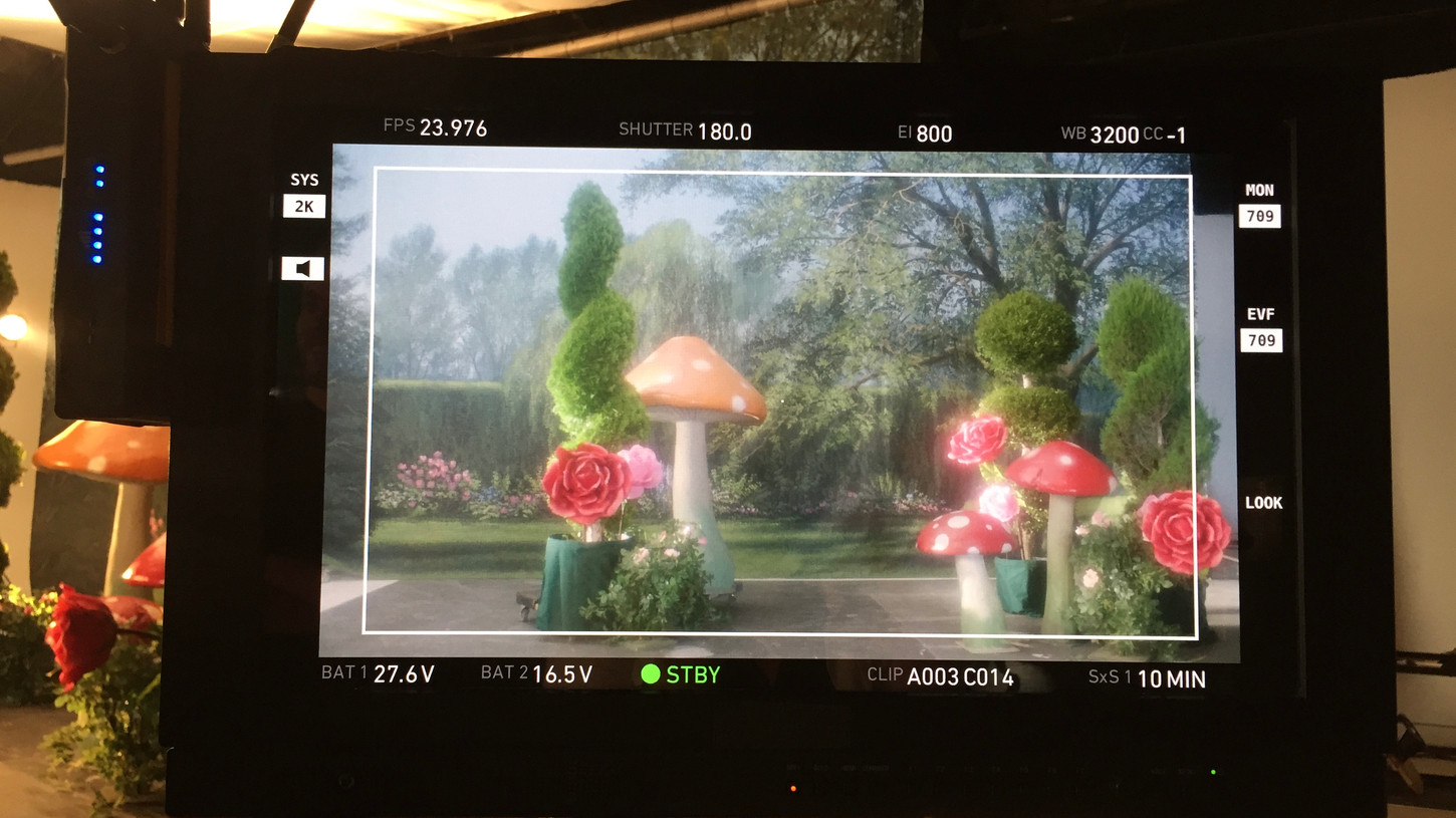 10 FO ALICE IN WONDERLAND.JPG