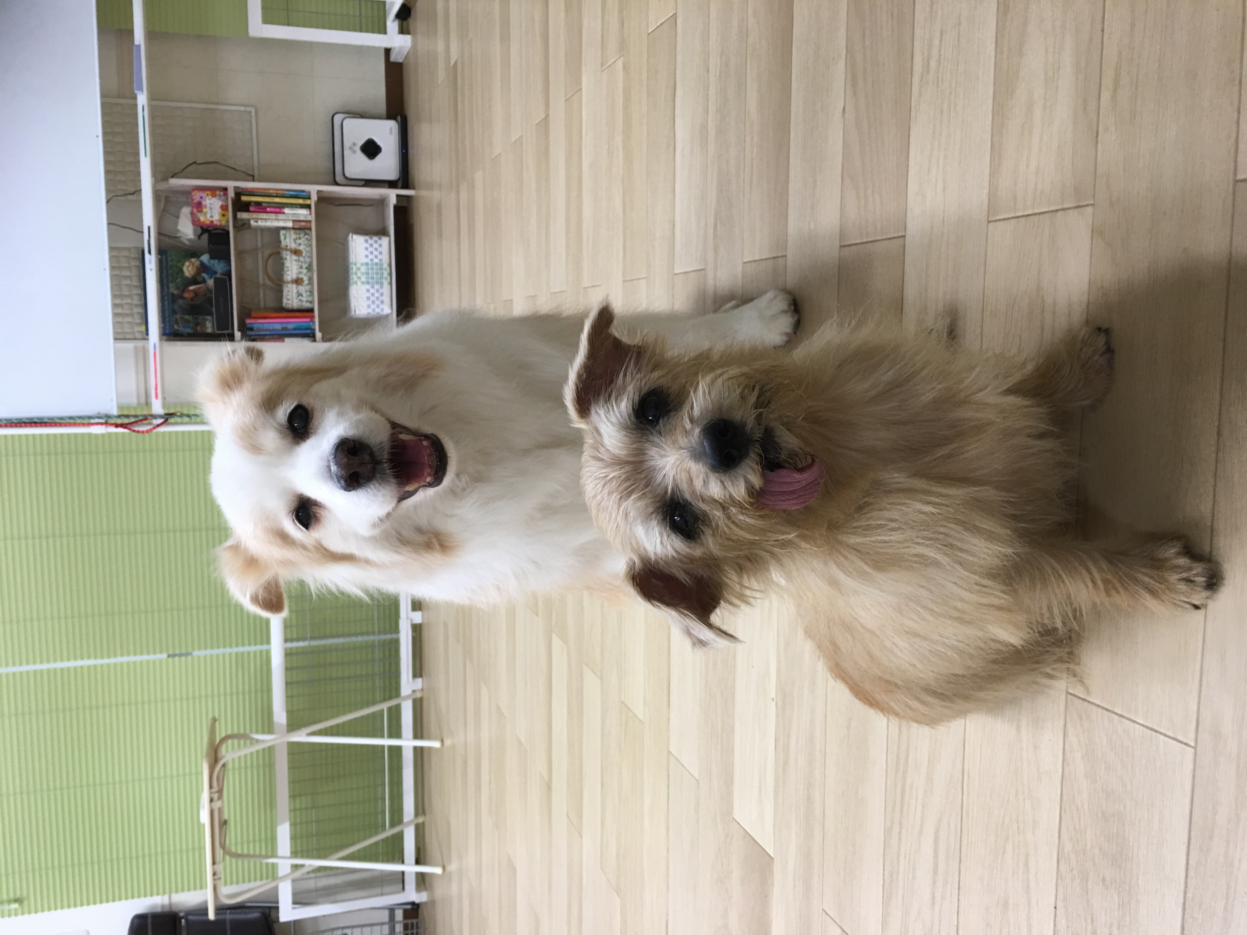執筆者の写真: セッションルームわぐているず