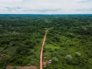 WICE and Central African Forests Commission (COMIFAC) Sign MOU to Develop Congo Basin Forest Finance Facility
