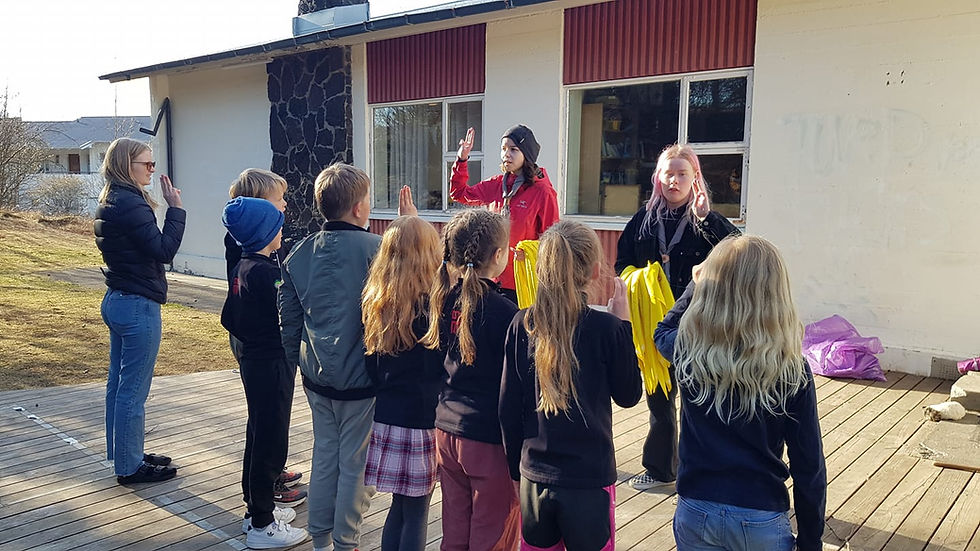 Dagsferð drekaskáta