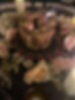 C39FB87D-9D63-4741-BD3B-5A25AA3B3277_edited.jpg