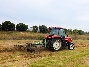 RIMG3108.jpg