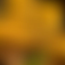 ...A Sweet Corn Farmer