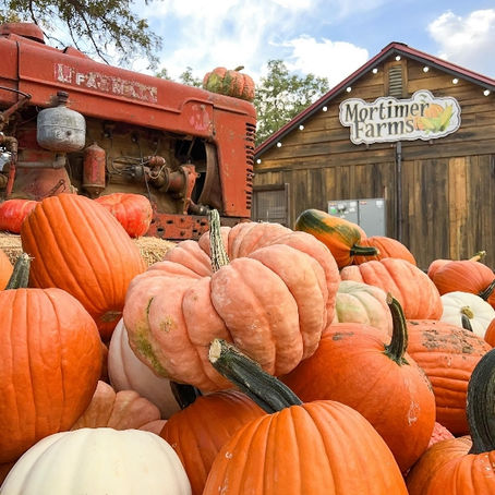 Last weekend of Pumpkin Fest and Corn maze,
