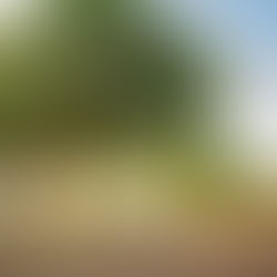 ...your fairytale wedding.