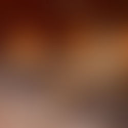 November Farm to Table