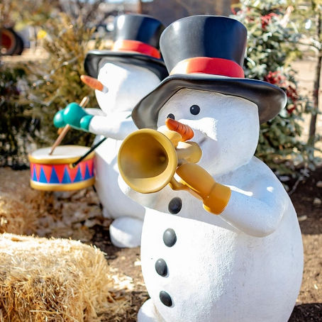 Experience the magic...