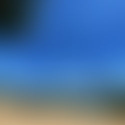 ...Challenges and Sliver Lining.