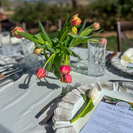 Farm to Table Dinner Photos