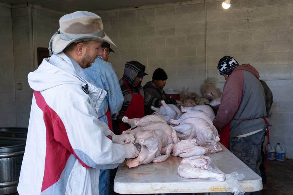 ...Turkey Processing!