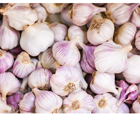 Garlic Food Truck Festival.