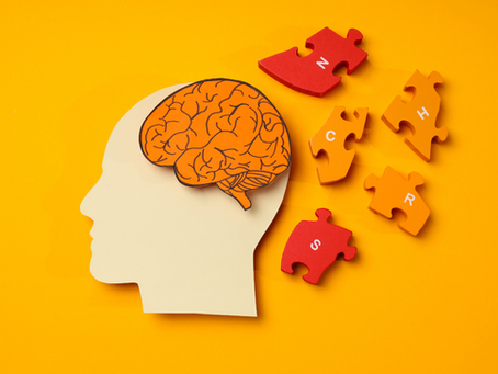 Metacognition Helps Build Self Regulation and Executive Functioning Skills
