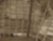 IMG_4718.jpeg