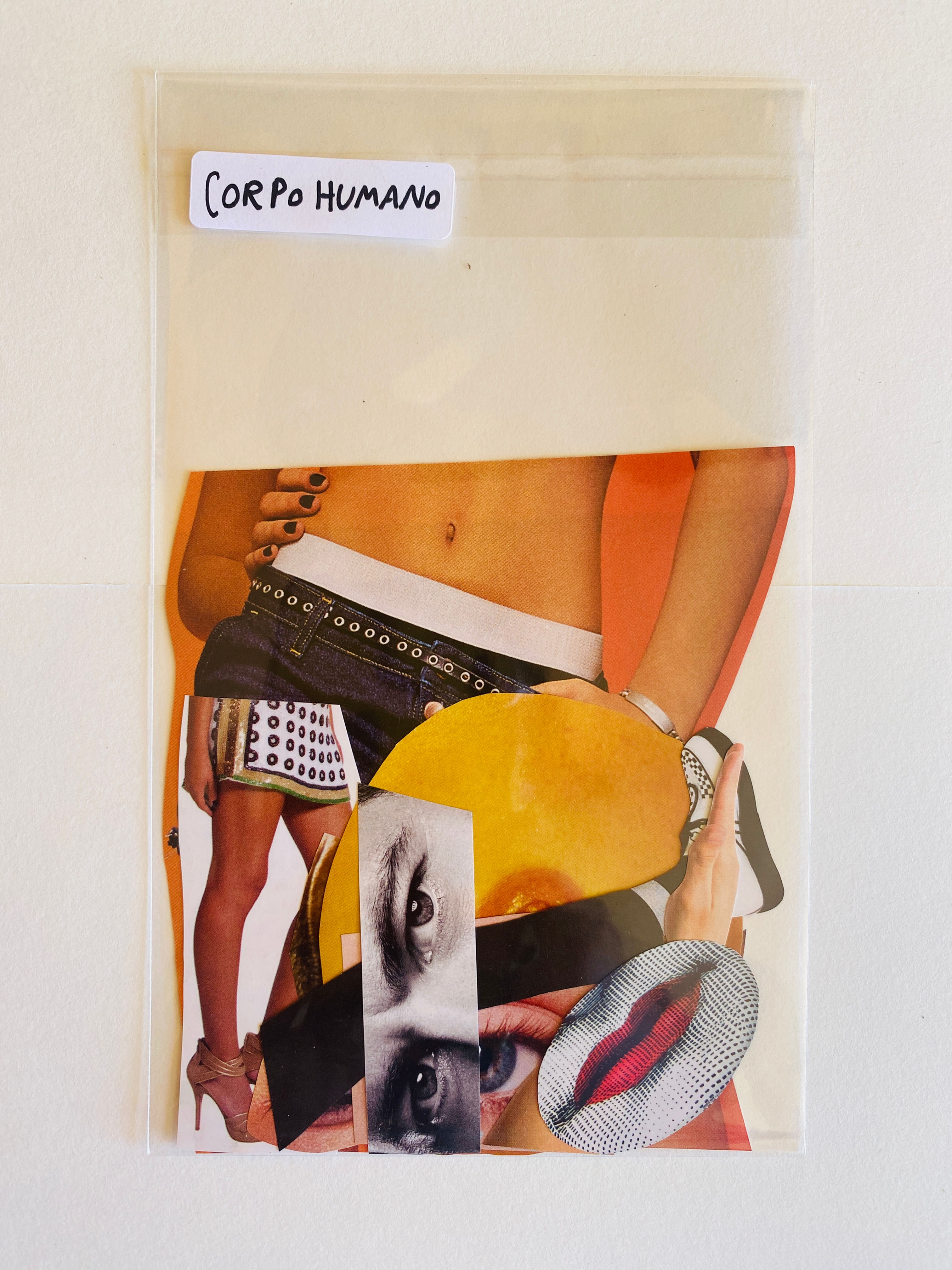 Kit Recortes - Corpo Humano 1