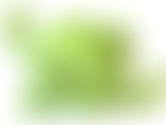 6 características de un nodo en la red