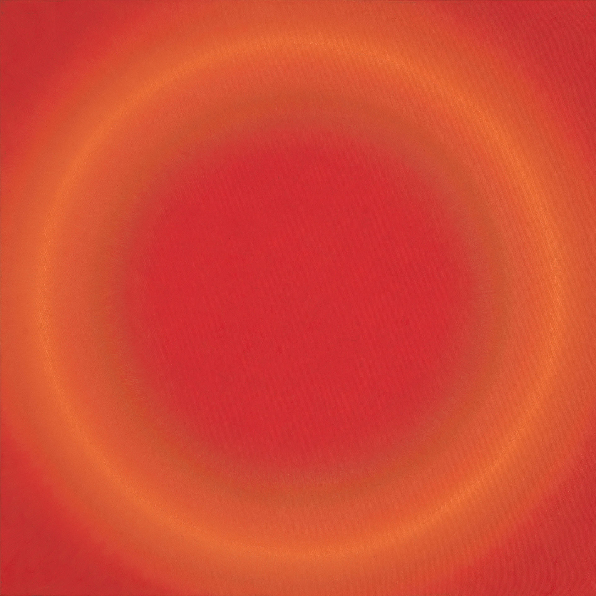 9541650.jpg