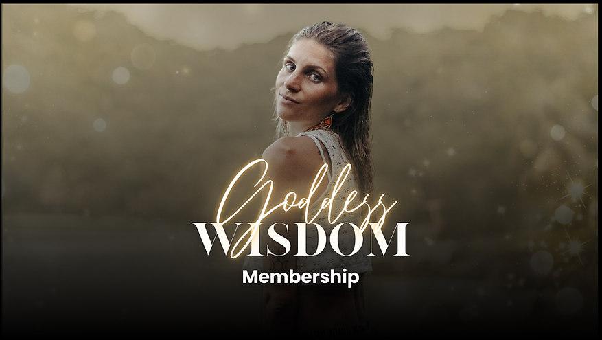 Rechteckformat_BTY - 2024-10-29T213557.616.png