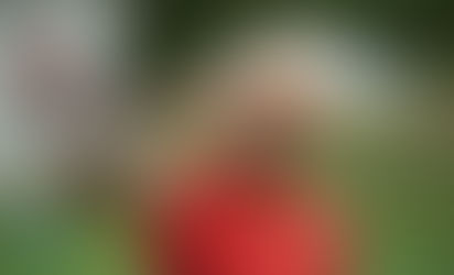 Arrascaeta renovou o vínculo com o Flamengo até 2026