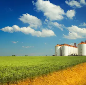 Energia ininterrupta para agronegócio: saiba como evitar prejuízos