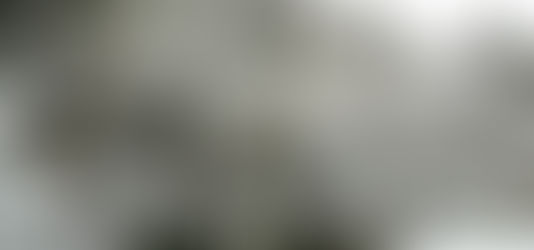 2月11日(土)、通常営業しております