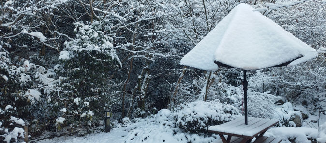 臨時休業のお知らせ