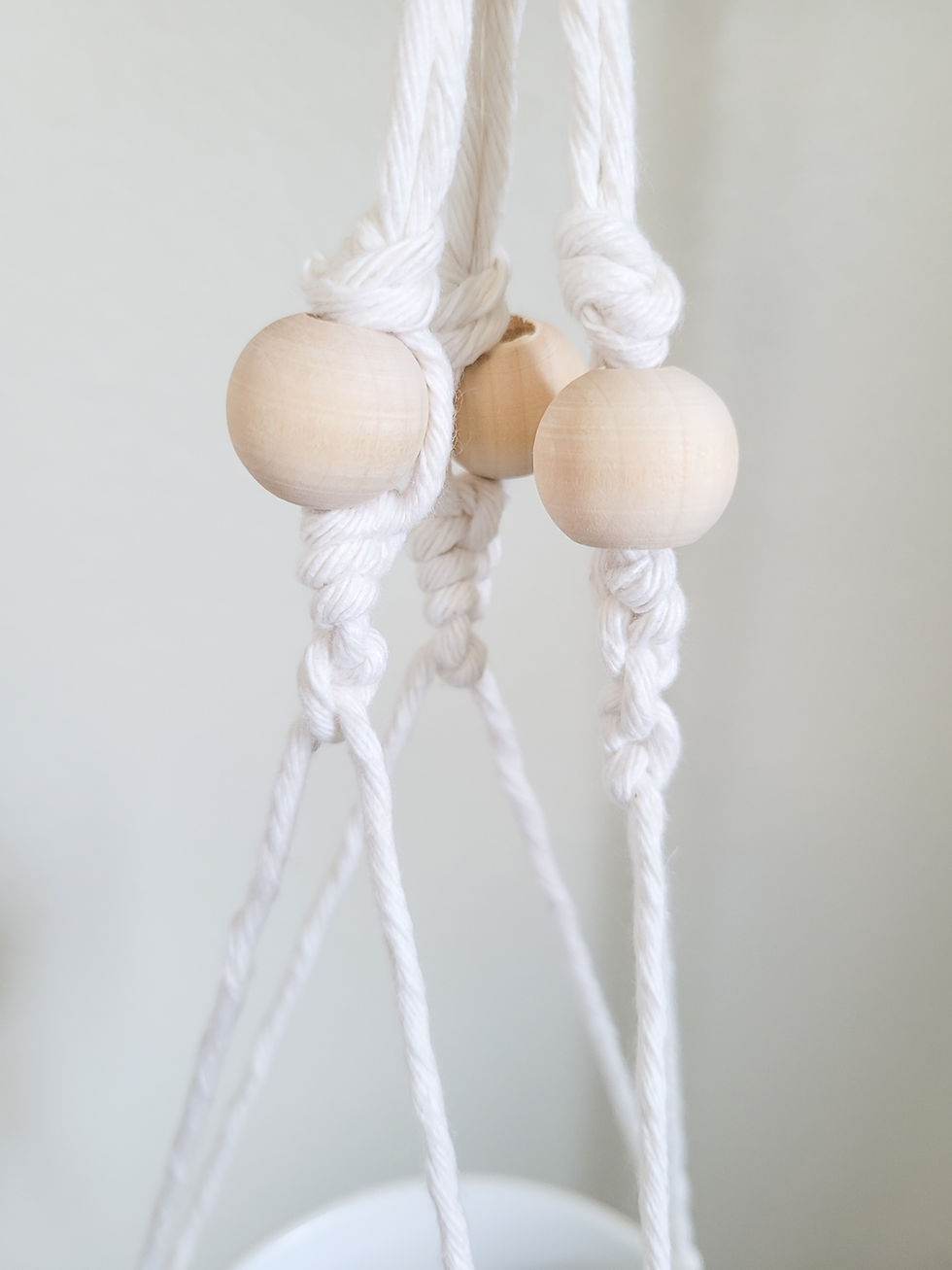 Thumbnail: Macrame Plant Hanger