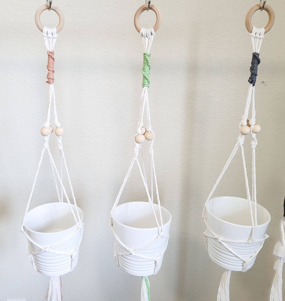 Thumbnail: Macrame Plant Hanger