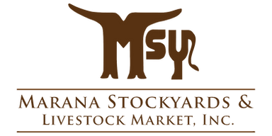 Marana Stockyards Logo