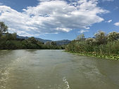 IMG_0715.JPG