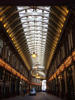 UNADJUSTEDNONRAW_thumb_65a1