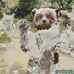 Paddington 2 - GIFs 4.gif