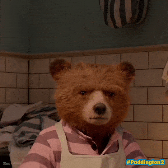 Paddington 2 GIF.gif